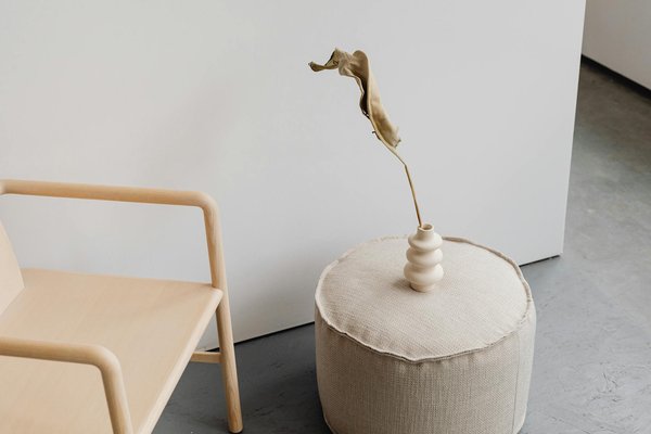 Quais são as melhores plantas para decorar sua casa?